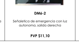 Salida Señaletica de Emergencia con Luz - DM6-2