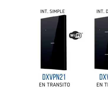 INT. SIMPLE INT. DOBLE - DXVPN21