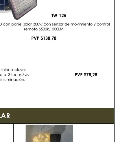 LED con Panel Solar 300W con Sensor de Movimiento y Control - TW-125
