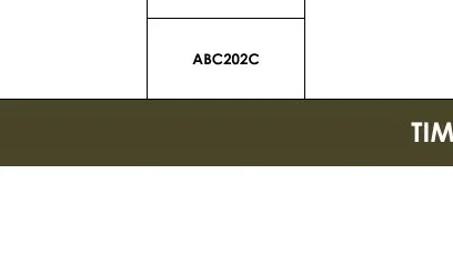 TIMERS - ABC202C