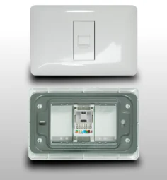 Toma Jack Datos Lan Cat-se, Blanco, Dx