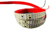 Cinta LED 360 LED 10M, 122W/M, 6000K, 360L, 2500L/M, Eff. 109LM/W, Ra. 84, 10M/ROLLO, Dx