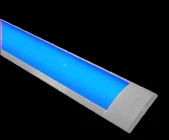 Cinta LED 12V Rojo, Amarillo, Verde, Cálida, Os