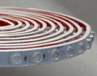 Manguera Dirigible 45G, 48 Leds/m, 6000K, IP65, 16W/M, 6000K, Eff. 82LUM/W, RA:84, 10M/ROLLO, Dx